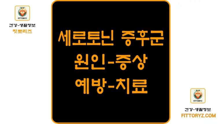 세로토닌 증후군 원인,증상,예방,치료