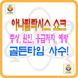 아나필락시스 쇼크 증상,원인,응급처치 ,예방