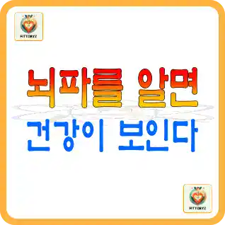 뇌파를 알면 건강이보인다