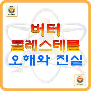 버터와 콜레스테롤,오해와진실