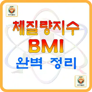 체질량지수(BMI) 완벽정리