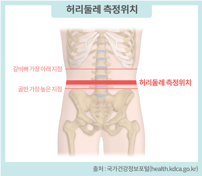 허리둘레 측정위치-출처:국가건강정보포털 체질량지수(BMI) 계산을 위한 허리둘레 측정위치