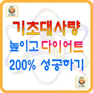 기초대사량 높이고 다이어트 200% 성공하기
