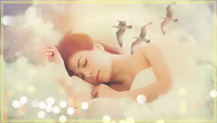 루시드 드림(자각몽)과 일반 꿈의 차이점 루시드 드림(자각몽),김든잠을 자고 있는 여인