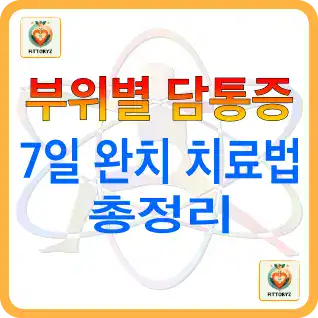 부위별 담 통증 7일 완치 치료법 총정리