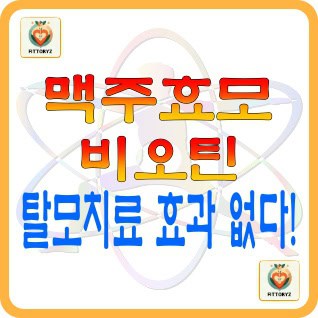 맥주효모와 비오틴 탈모치료 효과없다
