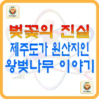 벚꽃의 진실, 제주도가 원산지인 왕벚나무 이야기
