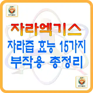 자라엑기스 효능과 부작용 정리