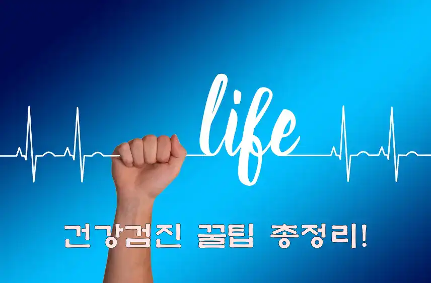 건강검진 꿀팁 총정리