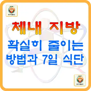 내장지방,체지방을 확실히 줄이는 방법