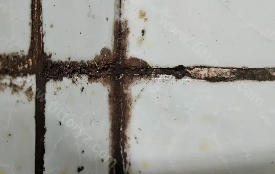 장마철 습도 관리-욕실 타일 곰팡이 장마철 습도 관리-욕실 타일 곰팡이