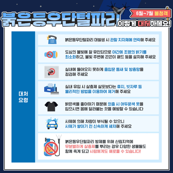 러브버그(붉은등우단털파리) 대처방법 러브버그(붉은등우단털파리) 대처방법