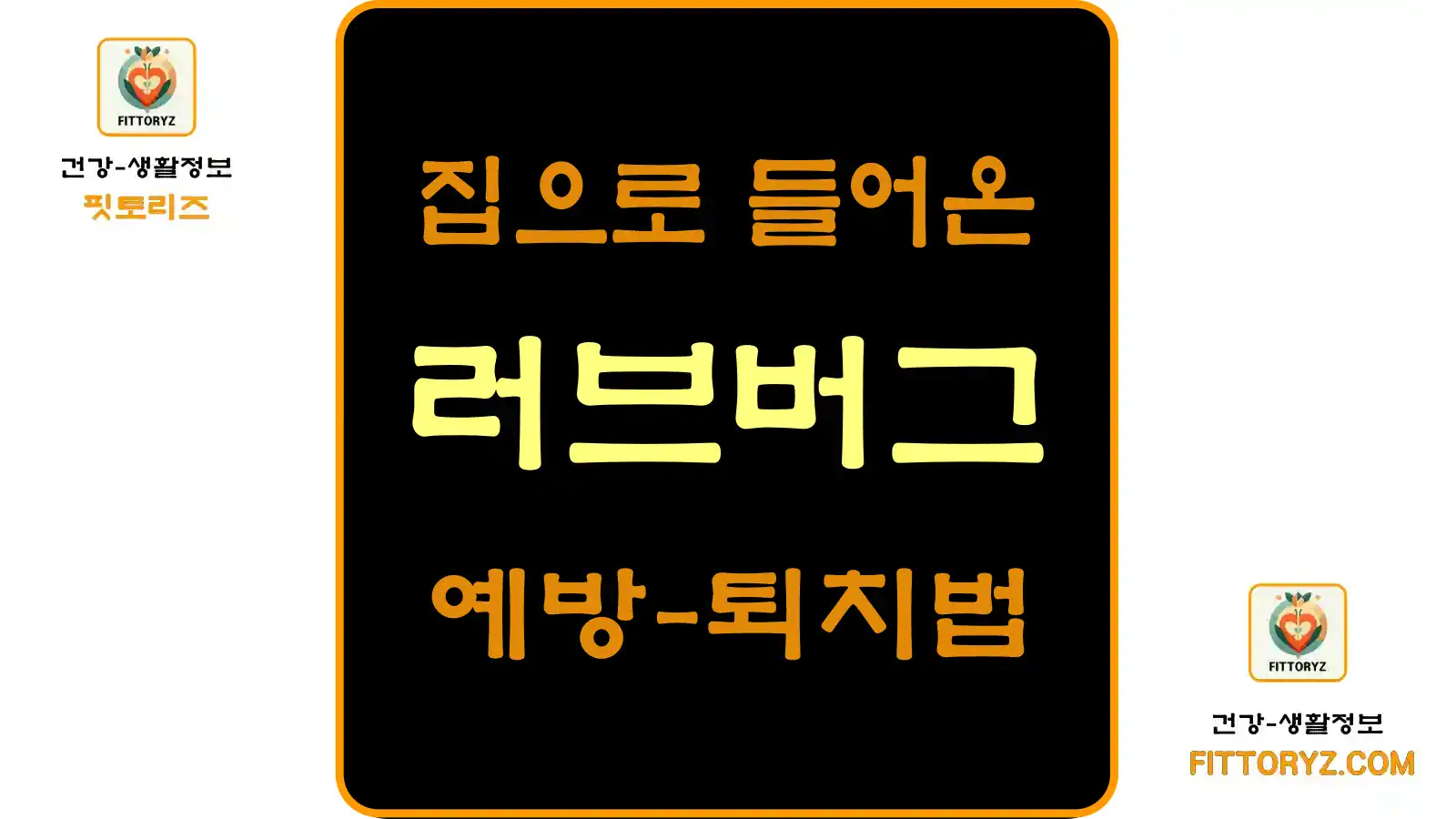 집으로 들어온 러브버그 예방및 퇴치법