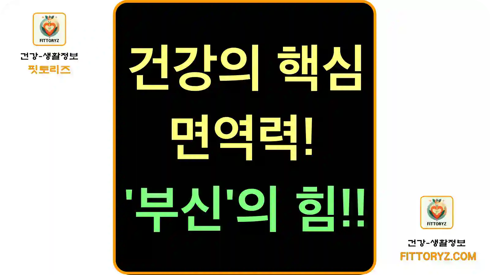 건강의 핵심은 '면역력'-부신의 기능