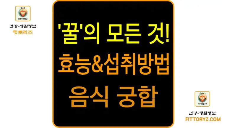 꿀의 모든 것 효능,섭취방법,음식궁합