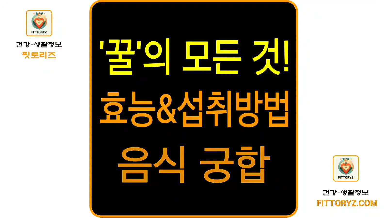 꿀의 모든 것 효능,섭취방법,음식궁합