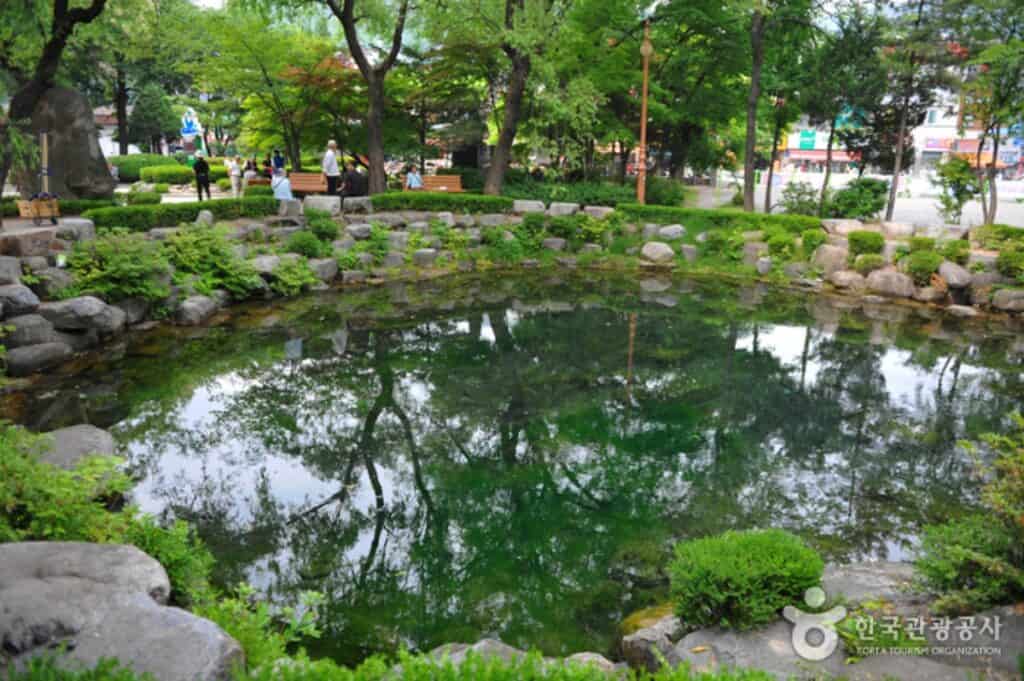 강원도 전설- 낙동강 발원지로 알려진 황지연못, 주변의 나무가 연못에 푸루게 비치고 있다.