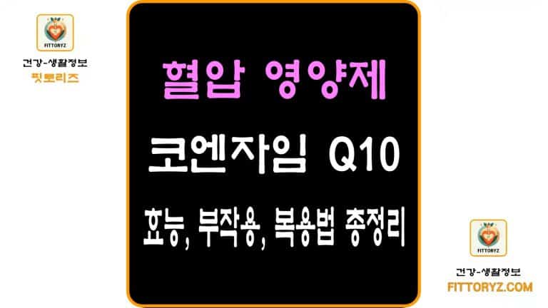 혈압 영양제 코엔자임 Q10 효능,부작용,복용법 총정리