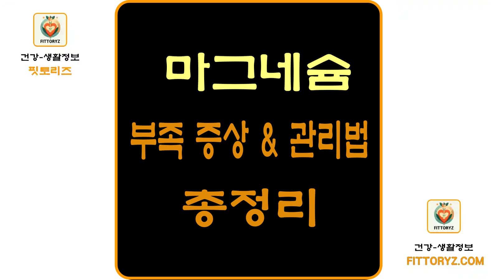마그네슘 부족 증상및 관리방법 총정리