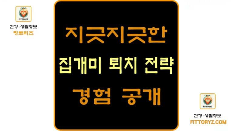 지긋지긋한 집개미 퇴치 전략및 경험 공개