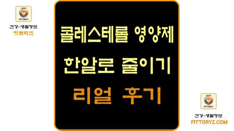 콜레스테롤 영양제 한알로 줄이기 리얼 후기