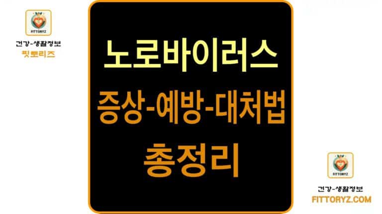 노로바이러스 증상,예방,대처법 총정리