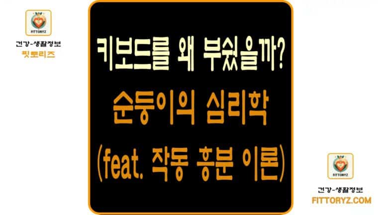작동 흥분 이론-키보드를 왜 부쉈을까?