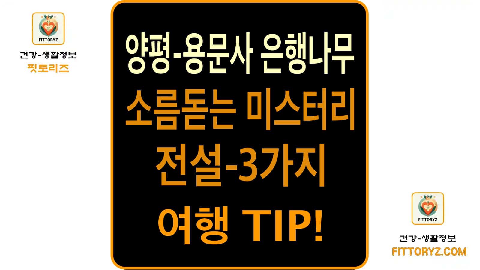 양평 용문사 은행나무 미스테리 전설3가지