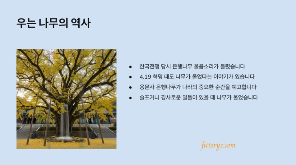 용문사 은행나무-우는 나무의 역사 요약 슬라이드