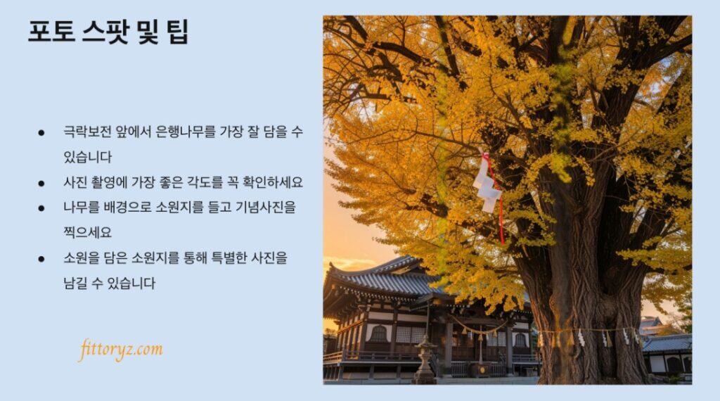 용문사 포토스팟및 여행팁 요약 슬라이드