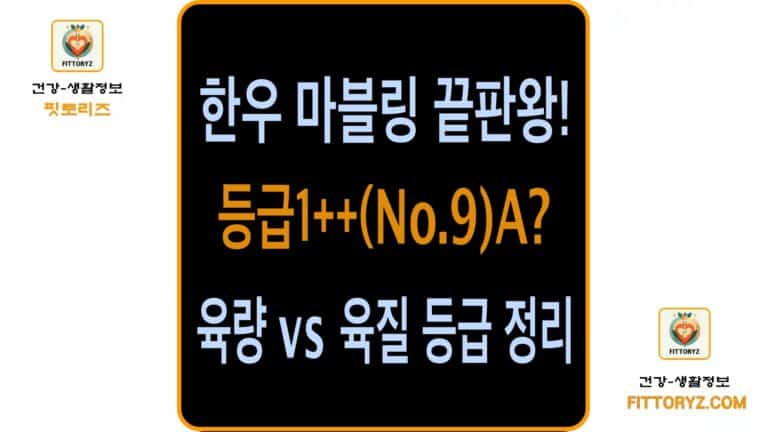 한우 마블링 끝판왕 육량과 육질 등급 완벽정리