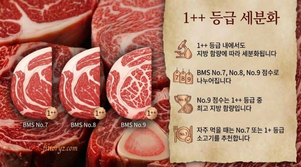 한우 1++ 등급의 세분화-슬라이드 이미지
