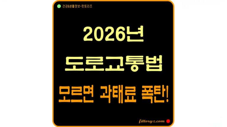 2026년 도로교통법 - 모르면 과태료 폭탄