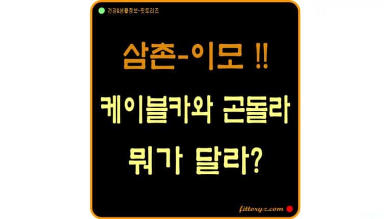케이블카와 곤돌라는 무엇이 다를까?