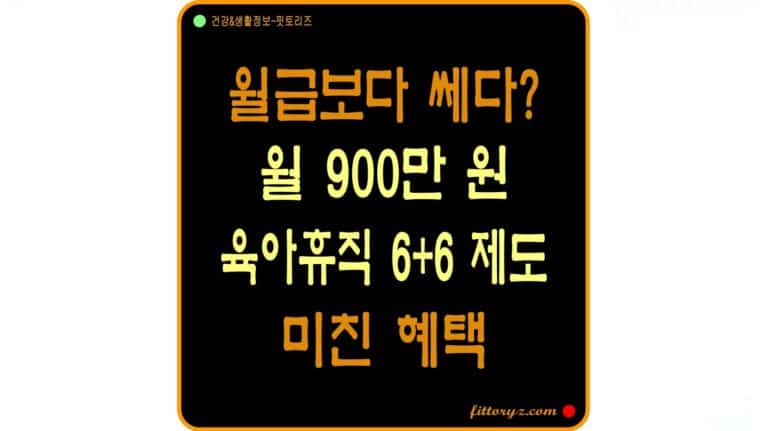 월급보다 쎄다! 월 900만원의 미친 혜택, 육아휴직 6+6 제도