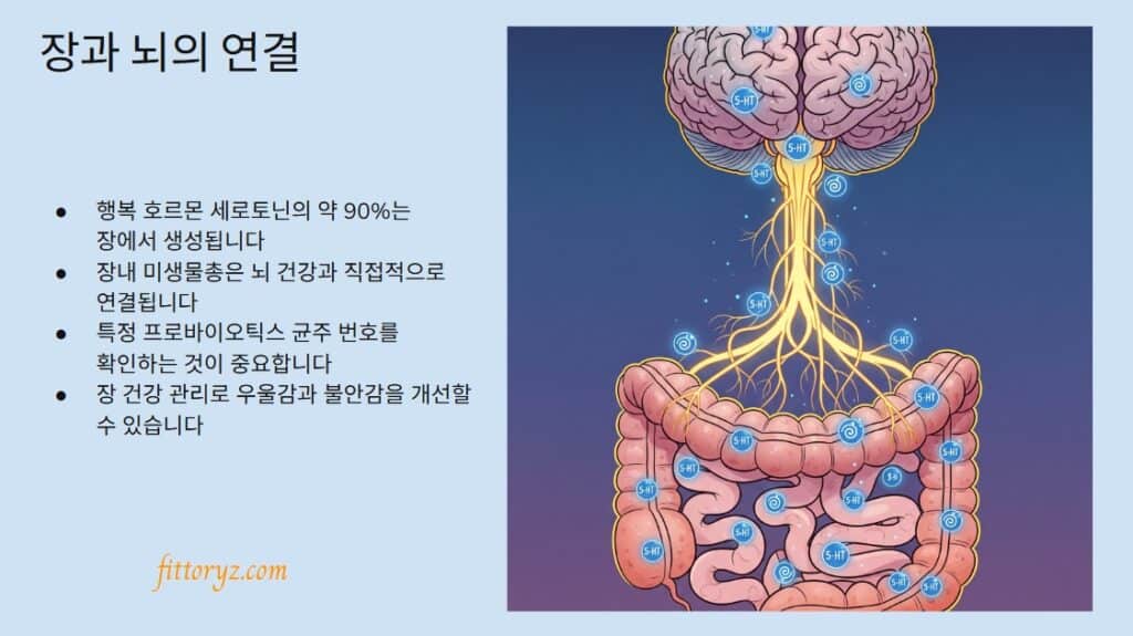 장내 유산균의 장과 뇌의 연결[슬라이드 이미지] - 만성 피로 영양제