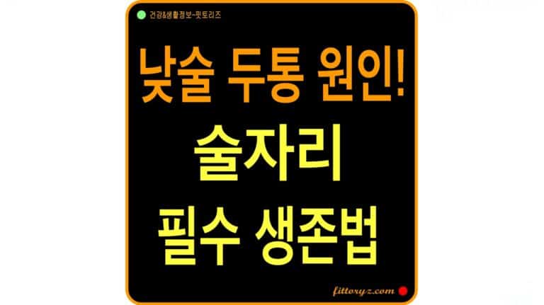 알코올 분해 효소 부족-낮술 두통의 원인, 술자리 필수 생존법