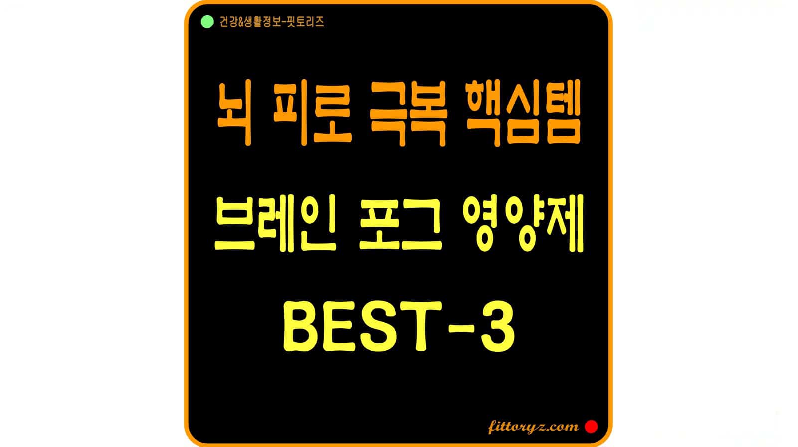 브레인 포그 영양제 베스트3
