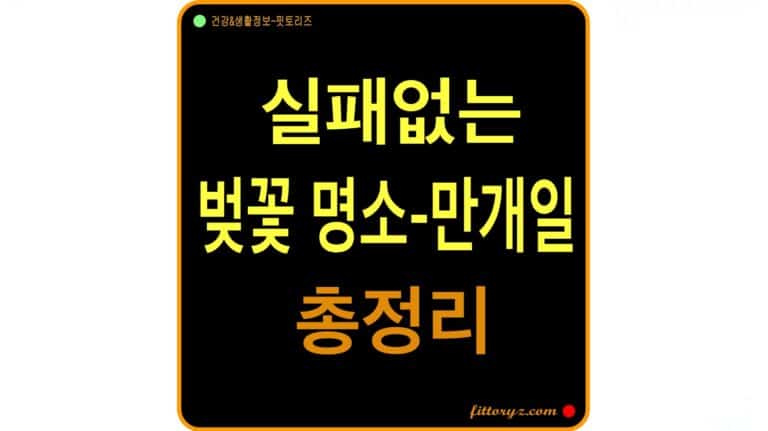 2026 벚꽃 개화시기 총정리