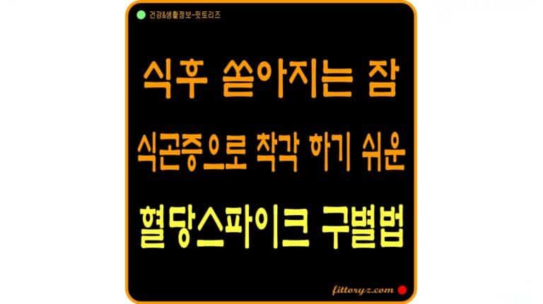 혈당 스파이크 구별 방법