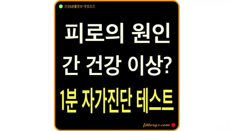 간 건강 자가진단 테스트