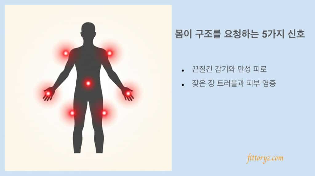 면역력 떨어졌을때 신호: 몸이 구조를 요청하는 5가지 신호