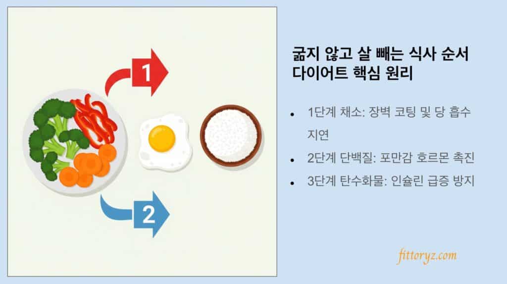 굶지 않고 살 빼는 식사 순서 다이어트의 핵심