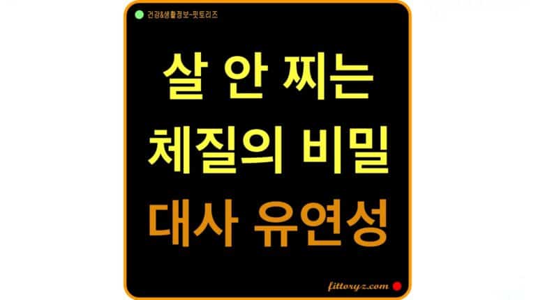 살 안 찌는 체질의 비밀: 대사 유연성