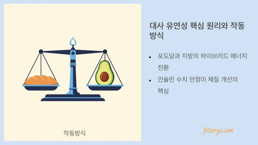대사 유연성 핵심 원리 & 작동 방식