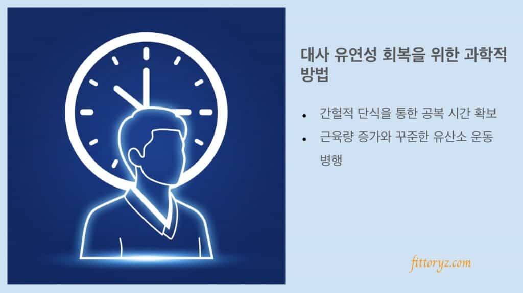 대사 유연성 회복을 위한 방법