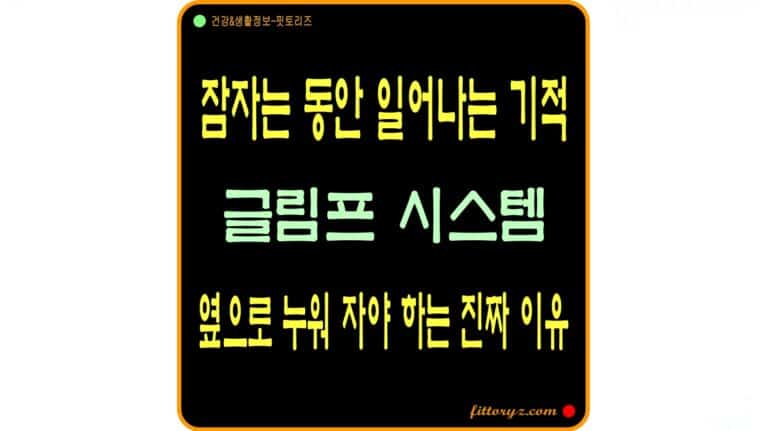 잠자는 동안 일어나는 기적-글림프 시스템