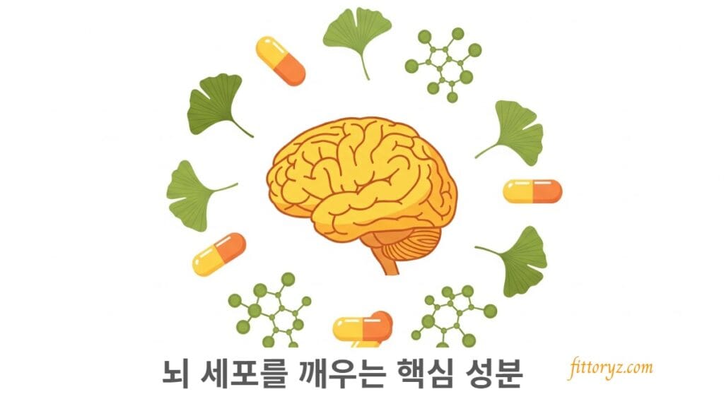 뇌 세포를 깨우는 치매 예방 영양제의 핵심 성분[ 슬라이드 벡터 이미지]