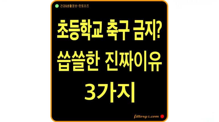 초등학생 쉬는시간 놀 권리:초등학교 축구 금지의 씁쓸한 진짜 이유