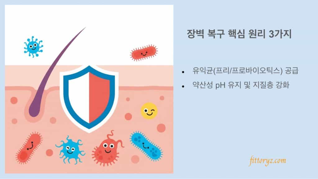 피부 마이크로바이옴 기반, 피부 장벽 복구 핵심 원리 3가지[슬라이드 이미지]